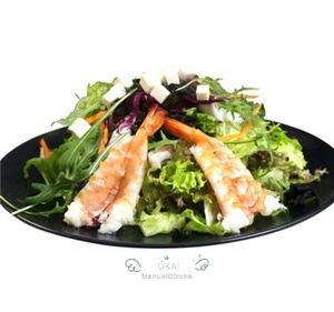 103 UKAI SALADA