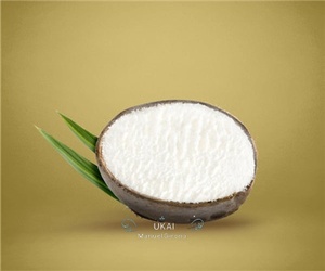 HELADO DE COCO
