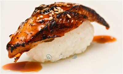 609UNAGI NIGIRI