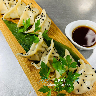 109YAKI-GYOZA